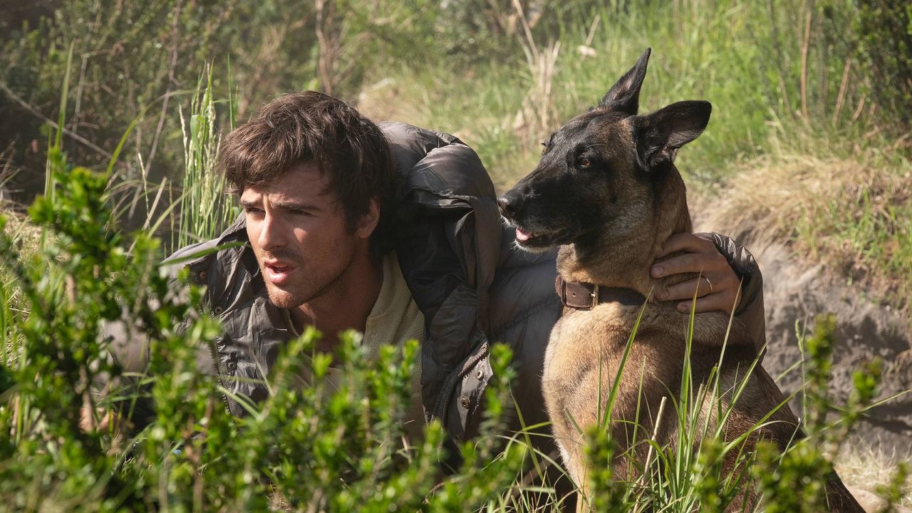 Review Film The Dog Stars: Ridley Scott Rilis Drama Pascapandemi yang Menyentuh