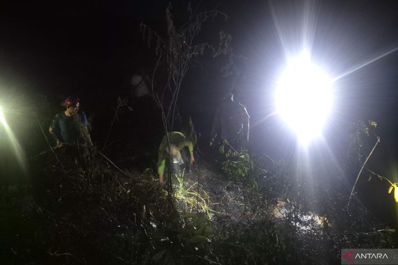 MPA dan Petugas Gabungan di Muaro Jambi Padamkan Kebakaran Lahan 10 Hektare Kurang dari Dua Jam