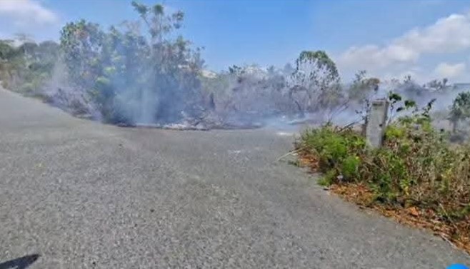 Karhutla di Maluku Tenggara Kian Marak, DPRD Desak Aparat Tindak Tegas Pembakar Lahan