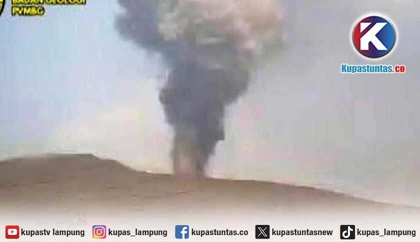 Gunung Anak Krakatau Erupsi 17 Kali dalam 24 Jam, Kolom Abu Capai 250 Meter di Atas Puncak