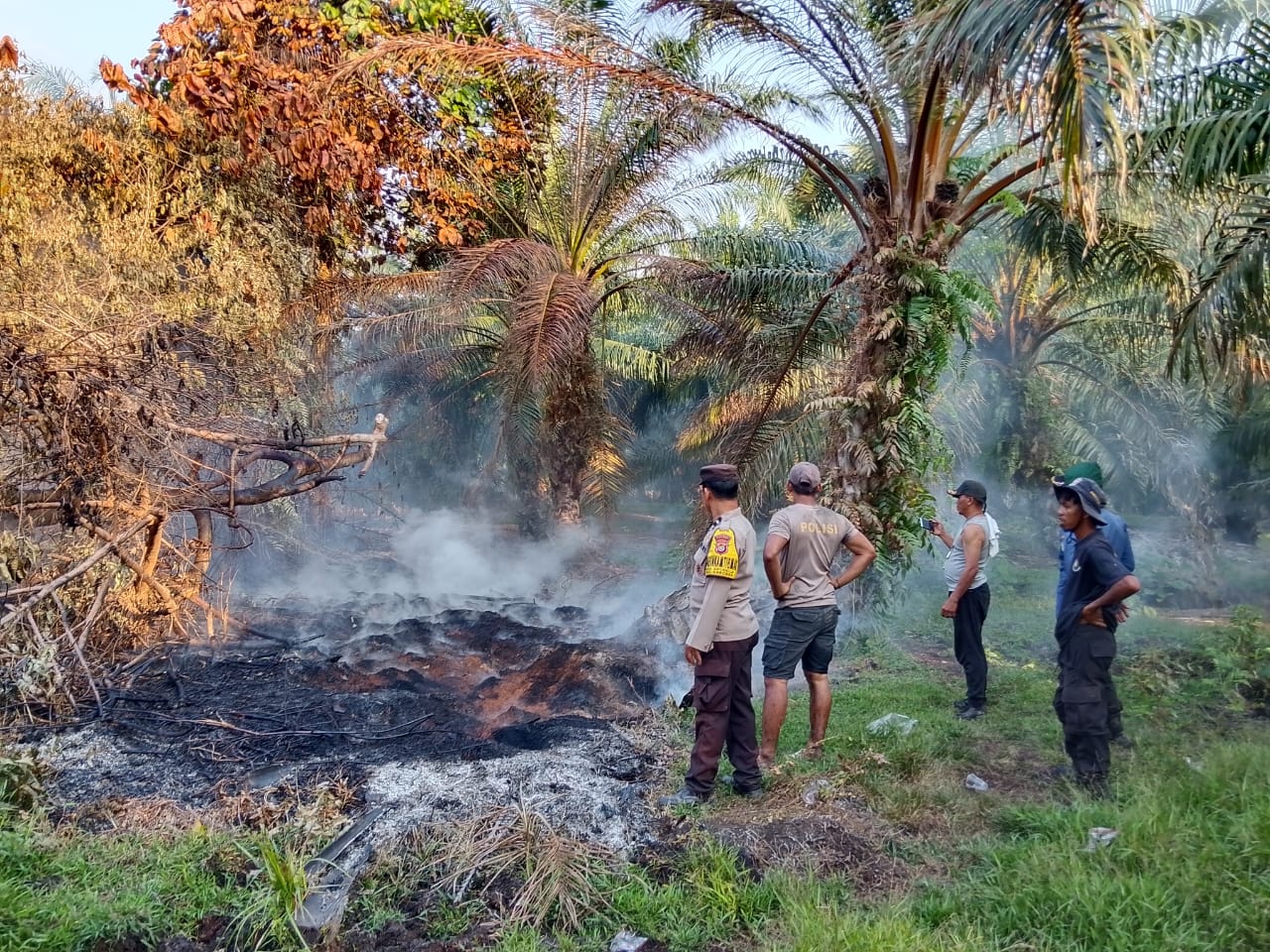 Bhabinkamtibmas dan Damkar Karossa Padamkan Kebakaran Lahan Sawit di Mamuju Tengah, Api Meluas Sejak Sabtu