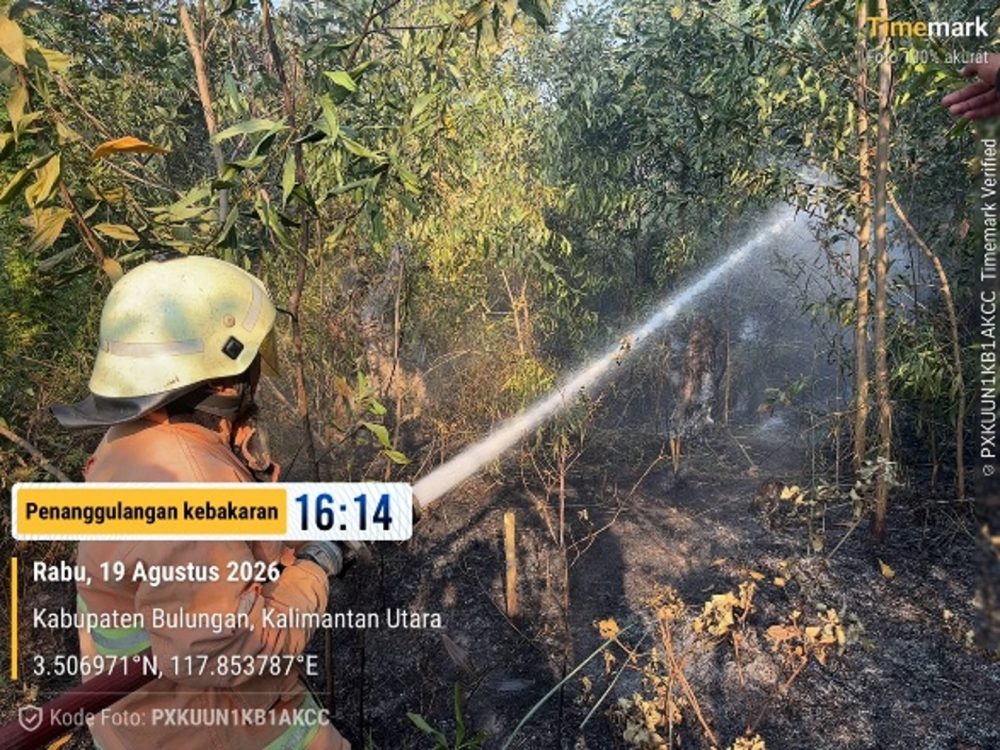 Grup Pertamina Hulu Indonesia Kerahkan Tim Damkar dan 24 Ribu Liter Air Padamkan Api di Kalimantan Utara