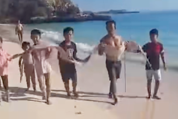 Ikan Oarfish 4 Meter Terdampar di Pantai Pink Lombok Timur, DKP NTB Tegaskan Bukan Pertanda Gempa