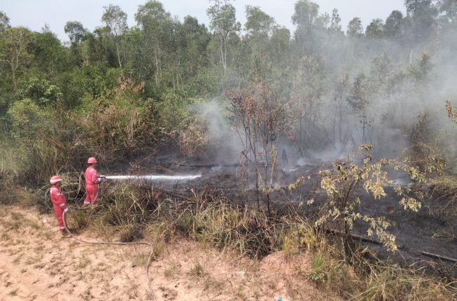 17 Kali Padamkan Karhutla di Muba dan Banyuasin, Tim Pemadam PEP Ramba Field Siaga 24 Jam Dekat Fasilitas Produksi