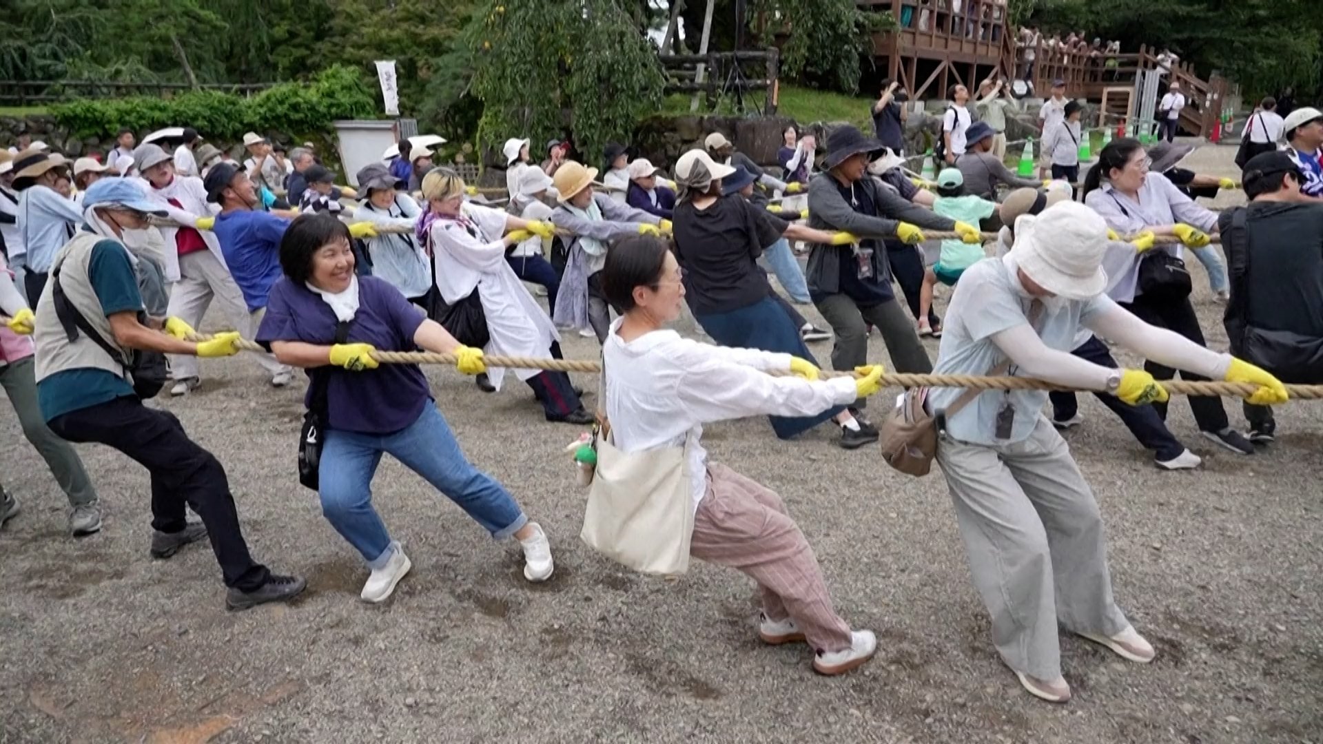 Ribuan Warga Jepang Gotong Royong Geser Kastil Hirosaki ke Posisi Awal