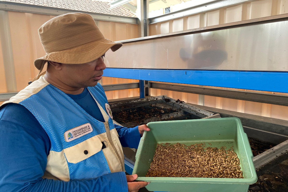 Maggot Plasma Masayu di Bantul Ubah Sisa Dapur Jadi Rp 250 Ribu per Panen, Hasilnya Masuk Kas Warga
