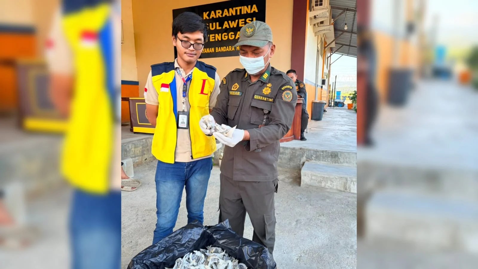 47 Pengiriman Sarang Burung Walet Sultra Tembus Rp11,3 Miliar Sepanjang Agustus, Tujuan Terbanyak ke Medan