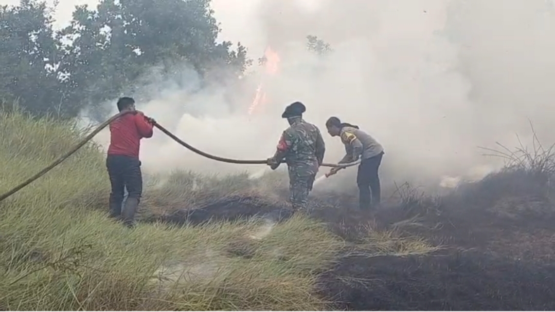 15 Hektare Lahan Semi Gambut Terbakar di Ogan Ilir, 6 Hektare Berhasil Dipadamkan Tim Gabungan