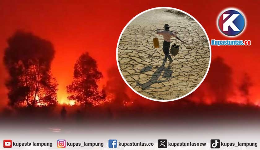 Pemkab Lampung Barat Petakan 4 Kecamatan Rawan Kekeringan dan Karhutla sebagai Antisipasi El Nino 2026