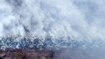 Kebakaran Lahan Gambut 20 Hektare di Muaro Jambi, Kementerian PU Kirim 2 Tandon Air