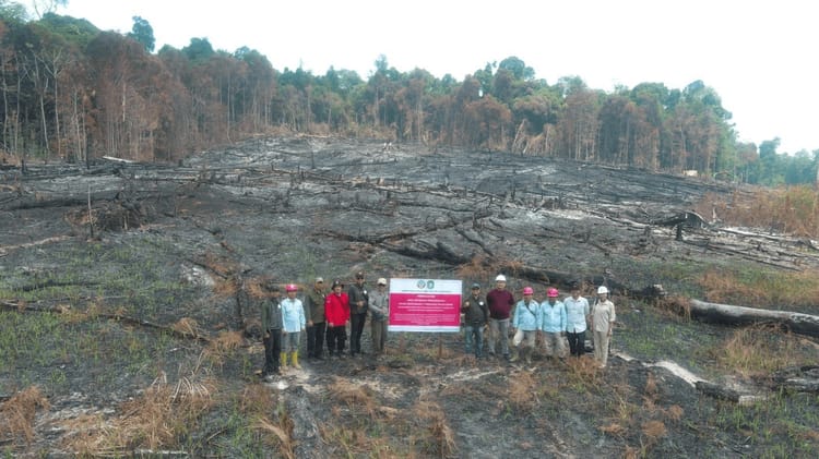 Kemenhut Jatuhkan Sanksi ke Enam Perusahaan di Kalbar, Kalteng, dan Kaltim atas Kebakaran 1.511 Hektare Hutan