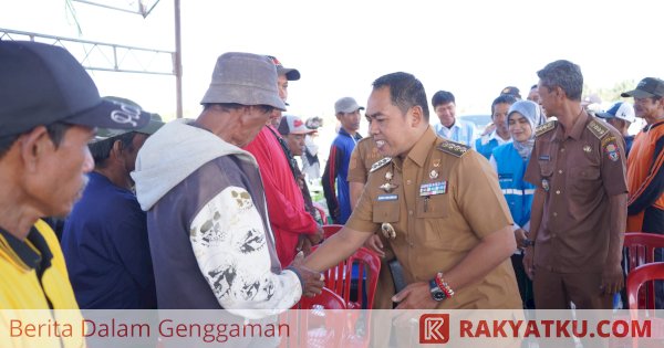 Bupati Wajo Andi Rosman Panen Perdana Sawah di Tanasitolo, Program Listrik Sawah Jadi Andalan Saat Kemarau