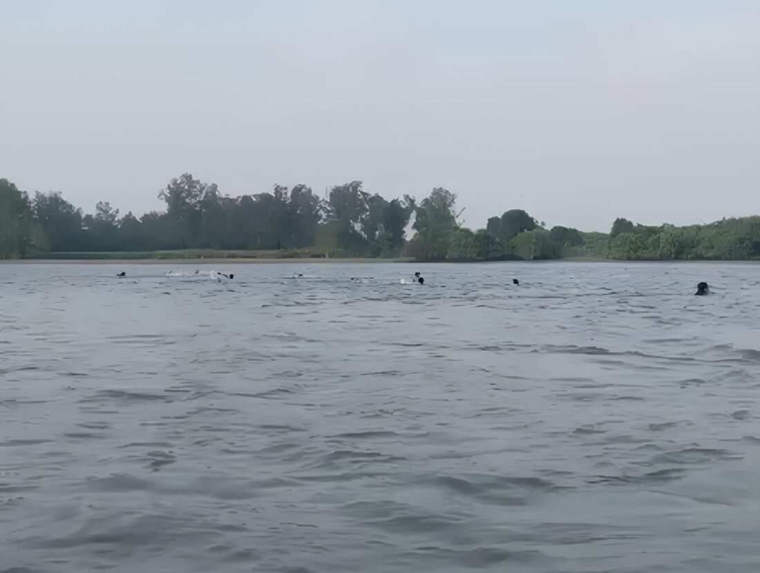 Sungai Kayan Surut, Pelajar Teras Nawang di Bulungan Terpaksa Berenang Menyeberang Pulang Sekolah