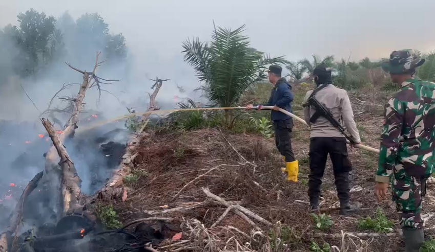 7 Hektare Lahan Gambut di Tanjab Timur Terbakar, Polres Kerahkan Personel Padamkan Api Selama 5 Jam