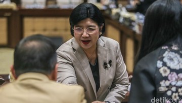 Uji Kelayakan Calon Gubernur BI Digelar DPR Hari Ini, Ini Agenda Destry Damayanti