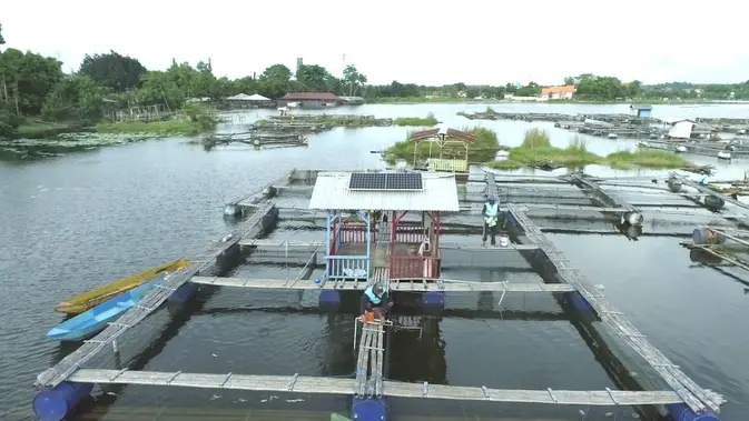 PLN Indonesia Power Garap 4 PLTS Raksasa, Total Kapasitas Tembus 490 MWp