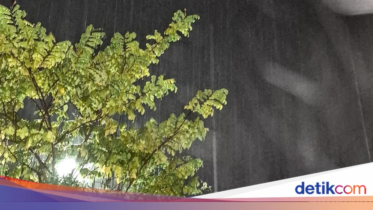 Hujan 2 Hari di Tarakan Turunkan Titik Panas Kaltara Signifikan, BMKG Sebut Efek Pencuci Alami