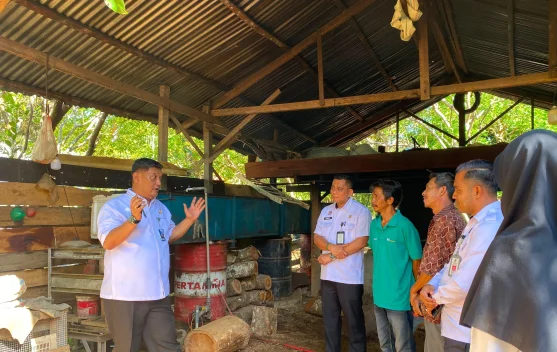 Kemenkum Aceh Turun ke Lhoong Awasi Penyulingan Minyak Nilam, Petani Berharap Harga Tembus Pasar Global