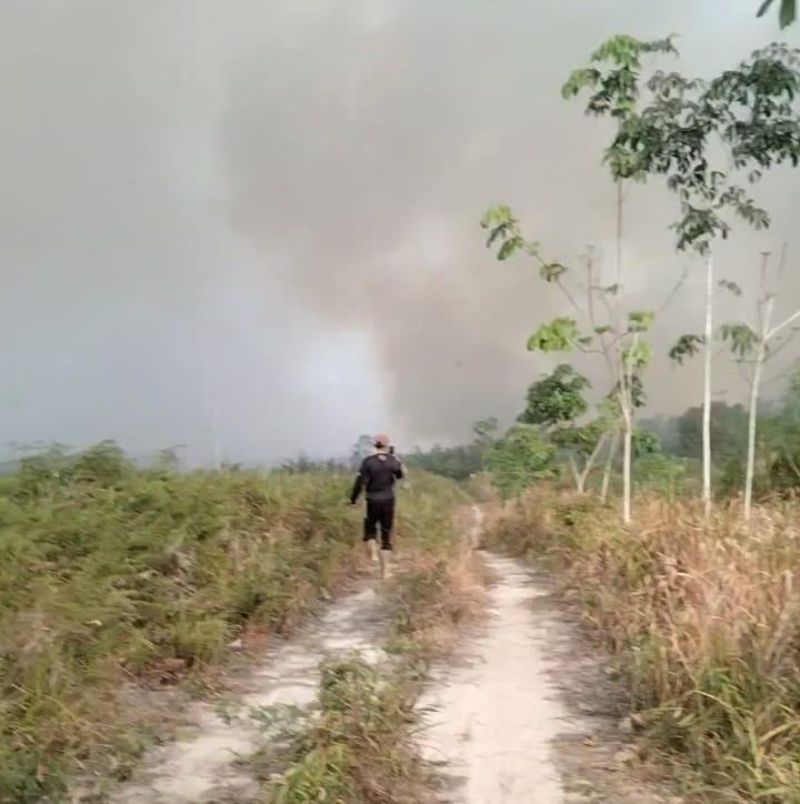 Kebakaran Lahan di Melawi Meluas 20 Hari, Warga Nanga Kayan dan Sopan Tonak Desak Bantuan Mesin Robin