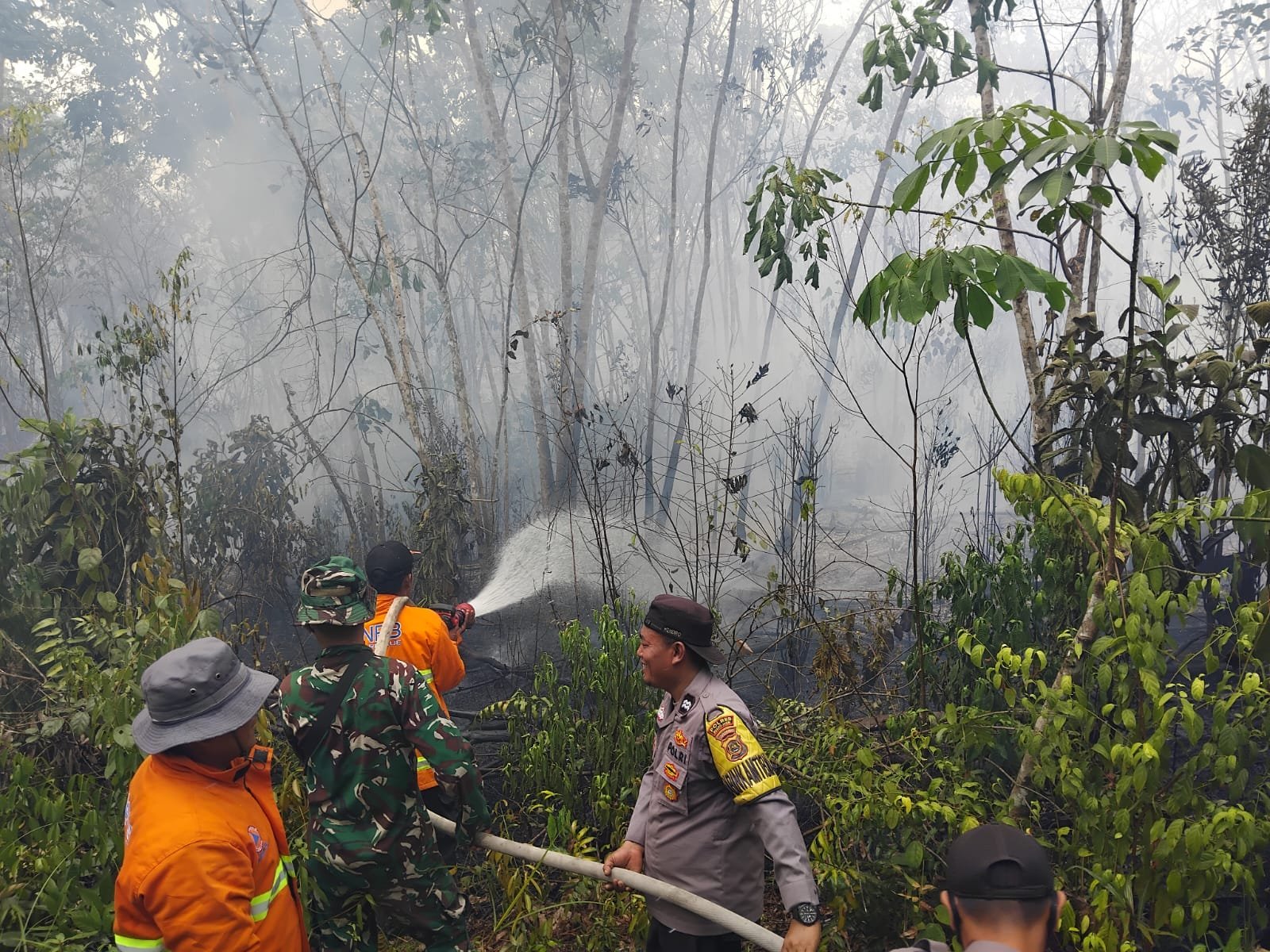 Karhutla 2 Hektare di Muaro Jambi Berhasil Dipadamkan Tim Gabungan, Polisi Selidiki Penyebab Kebakaran