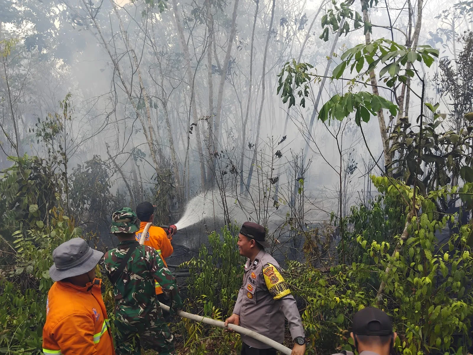 Kebakaran Lahan 2 Hektare di Muaro Jambi Berhasil Dipadamkan, Polisi Masih Selidiki Penyebabnya
