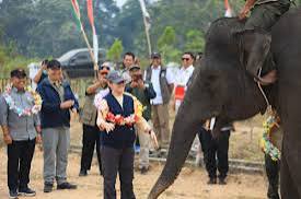 BKSDA Jambi dan Konsorsium PROTECT30 Tinjau Habitat Gajah Sumatera di Bukit Tigapuluh, Waspadai Jerat Listrik
