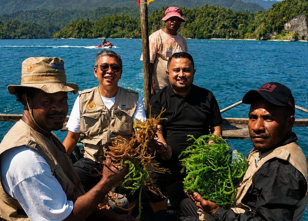 Ketua DPR Papua Denny Bonai Panen Rumput Laut Premium di Festival Teluk Mioka, Dorong Pemasaran hingga ke Malaysia