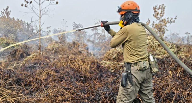 2.461 Titik Panas Terdeteksi di Sumatera, Sumatera Barat Catat 7 Hotspot di Tengah Musim Kemarau