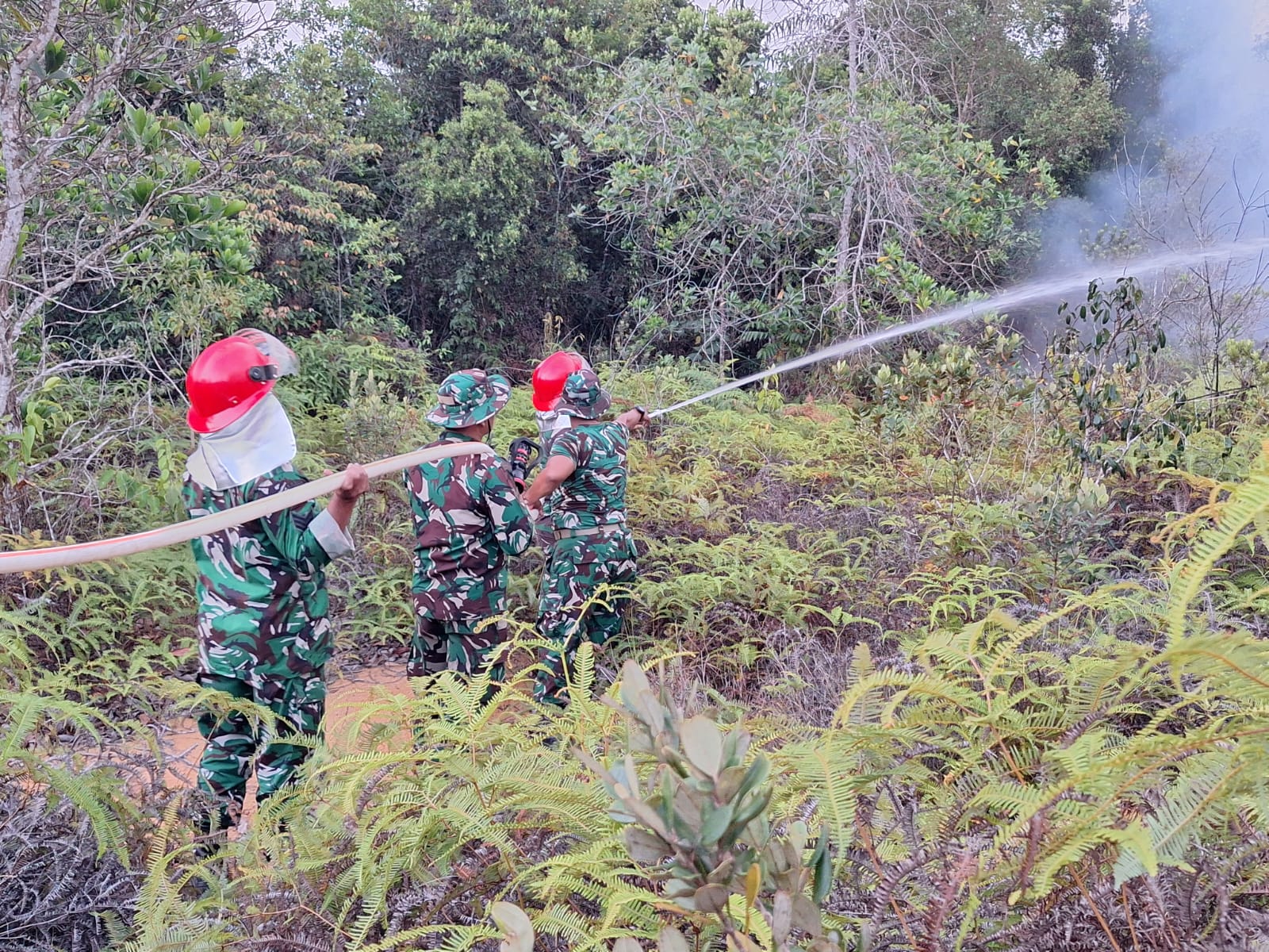 8 Personel Kodim 0315/Tanjungpinang Bantu Padamkan Kebakaran Lahan 2 Hektare di Bintan, Akses Jalan Sempat Terkendala