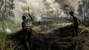 Titik Panas Karhutla Kalteng Tembus 3.947, 515 Warga Kobar Terjangkit ISPA