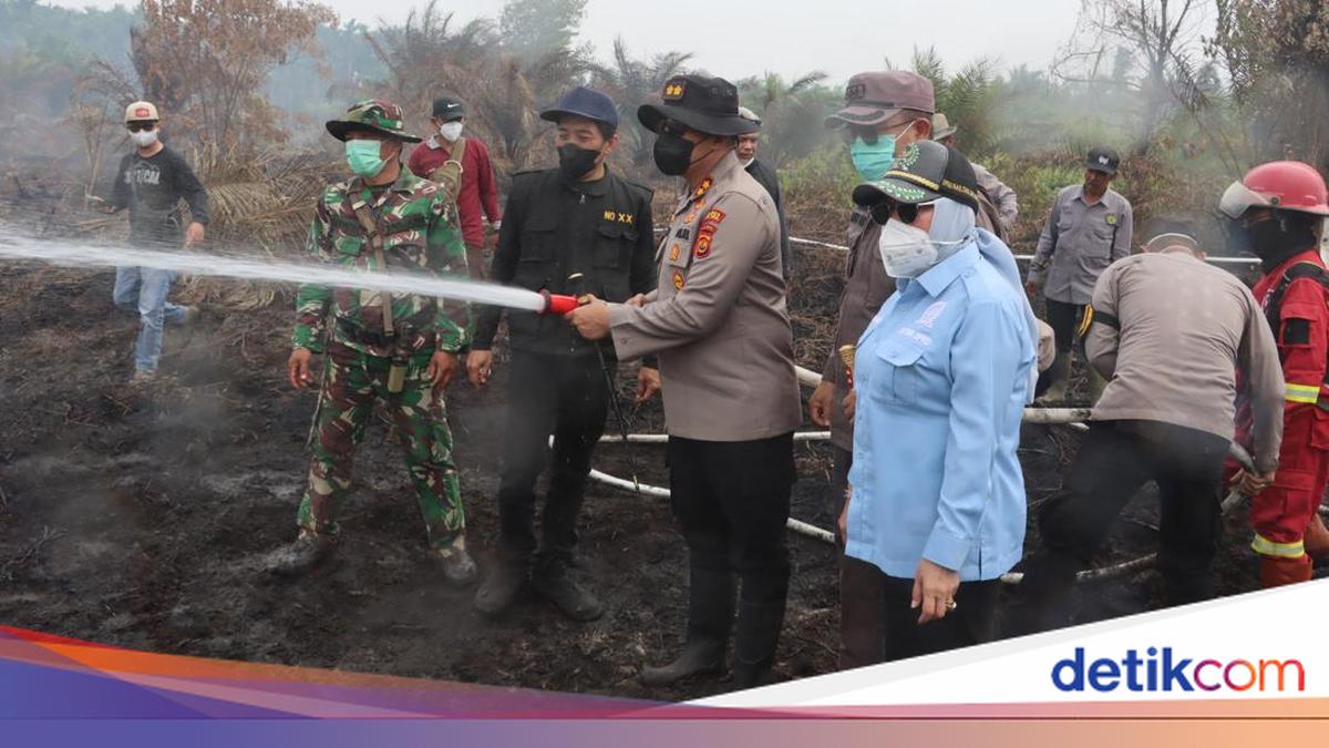 Karhutla Jambi Capai 916 Hektare, Polda Kerahkan 873 Personel dan Water Bombing ke 7 Kabupaten Rawan