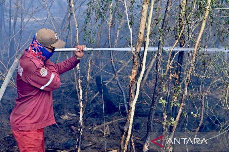 1.079 Titik Panas Terdeteksi di Kalimantan Selatan, BMKG: 12 Kabupaten/Kota Masuk Zona Merah Karhutla