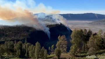 Kebakaran Hutan Bromo Dekati Homestay dan Jembatan Kaca Seruni Point