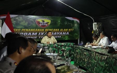 Prabowo Setujui Usulan BNPB, Seluruh Provinsi dan Kabupaten Bakal Punya Gudang Logistik