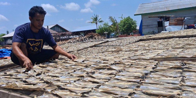 UMKM Ikan Kering Tipis di Tarakan: Siti Halijah Bertahan di Tengah Permainan Harga Tengkulak dan Cuaca