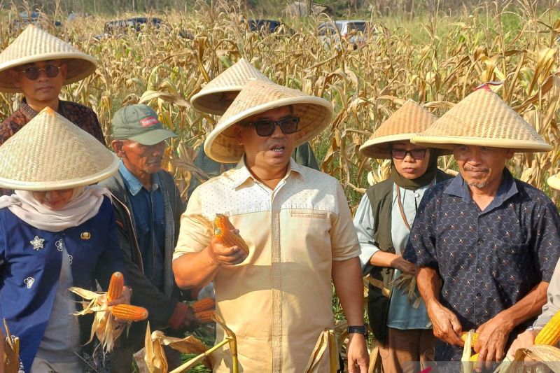 Target Investasi Kepri 2026 Tembus Rp 86 Triliun, Pemprov Geser Fokus ke Natuna, Anambas, dan Lingga