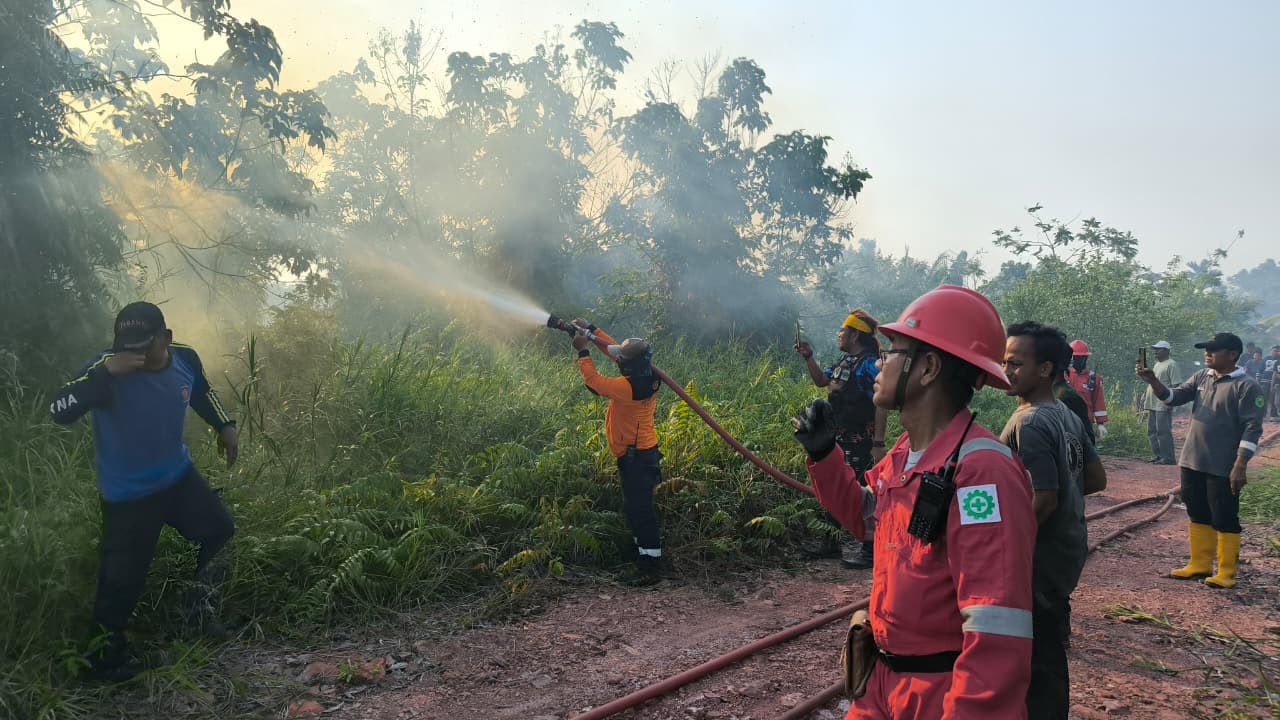 Pertamina Kerahkan Tim Pemadam dan 24 Ribu Liter Air Atasi Karhutla di Kalimantan