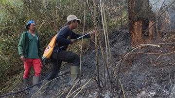 Kebakaran Hutan di Ranu Kembang, TNBTS Tutup Total Pendakian Gunung Semeru