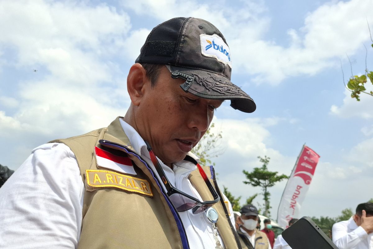 Bulog Salurkan 37.277 Ton Bantuan Pangan Beras di Lampung untuk 1,2 Juta Penerima Manfaat
