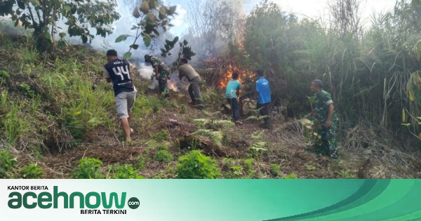 Kebakaran Hutan di Perkebunan Warga Aceh Tengah, TNI dan Puluhan Warga Berjibaku Padamkan Api secara Manual