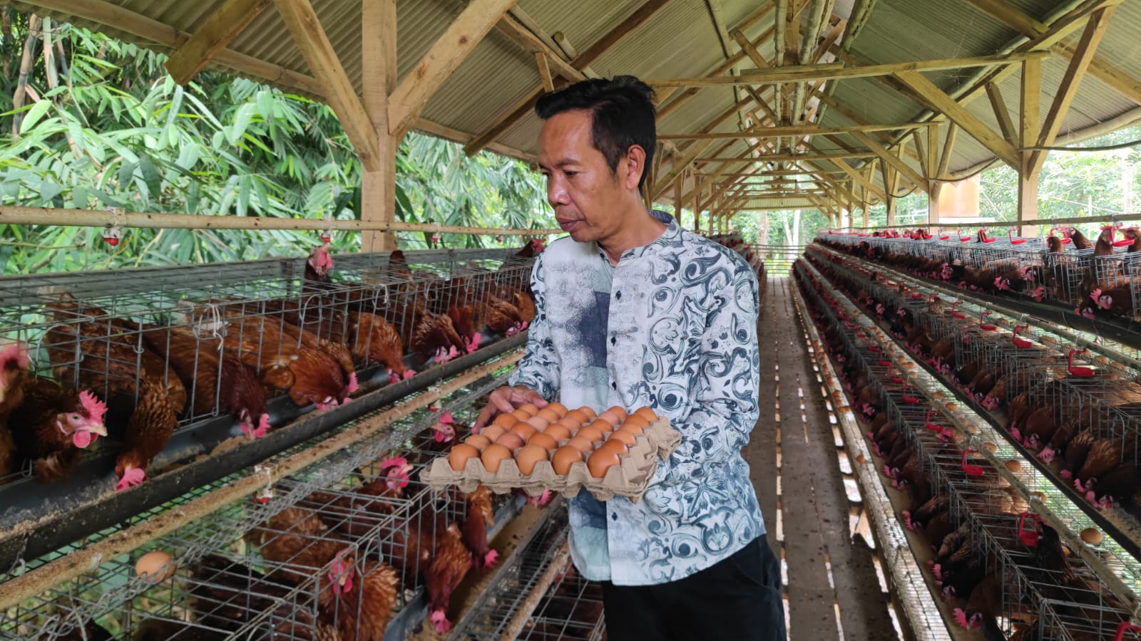 Kepala Desa Kadugenep Petir Serang Dukung Program Sehati dari Kemendes, Usulkan Pengembangan Ayam Petelur untuk Ketahanan Pangan