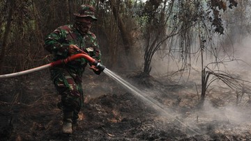 Ubi Bombing Gagasan Prabowo untuk Karhutla, IPB Ungkap Hasil Uji Tepung Jagung