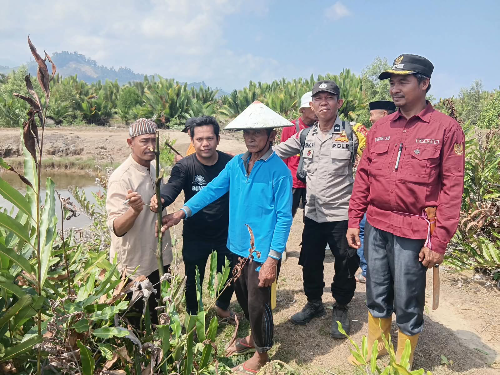 Sengketa Lahan Tambak di Mamuju Tengah Selesai Lewat Musyawarah, Bhabinkamtibmas Pasang Patok Batas