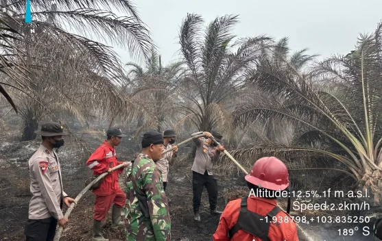 Satbrimob Polda Sumsel Padamkan Karhutla di Bayung Lencir Muba, 10 Personel Dikerahkan Bersama TNI dan Manggala Agni
