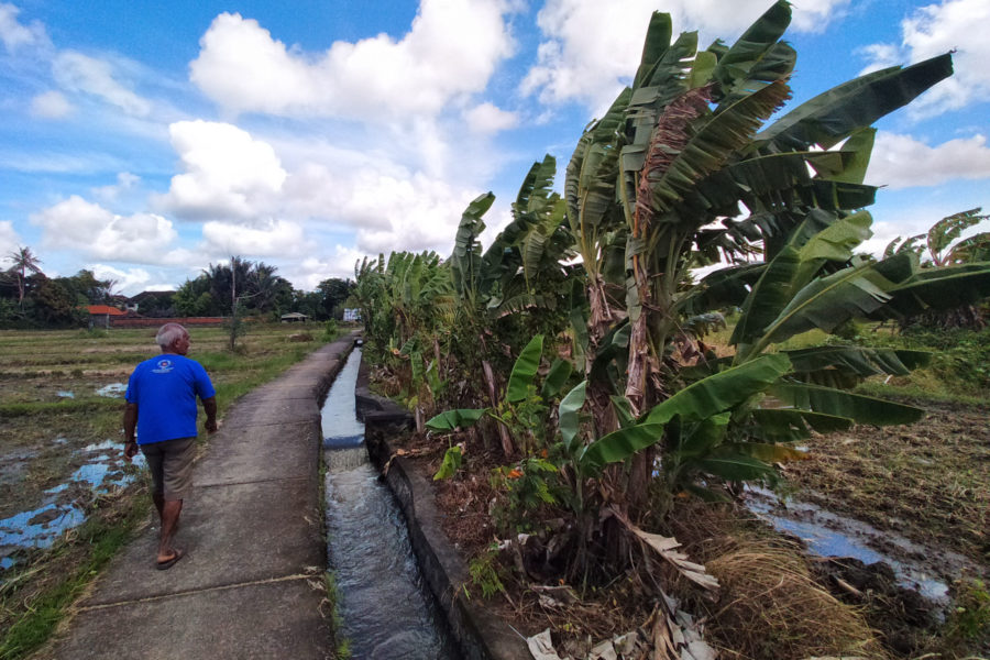 Prakiraan Cuaca Bali Kamis 27 Agustus 2026: 5 Kabupaten Dilanda Angin Kencang, Gelombang Selatan Capai 2,5 Meter