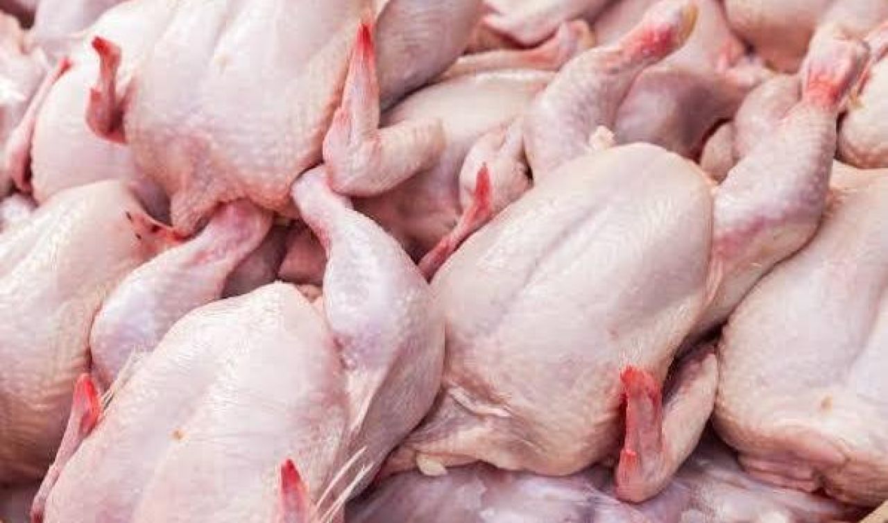 Harga Daging Ayam di Sumut Tembus Rp 55 Ribu per Kg, Pengamat: Biaya Pakan Jadi Biang Kerok