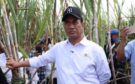 Peremajaan Tebu Rakyat, Kementan Siapkan Dana Rp1,7 Triliun untuk Ganti Tanaman Tua