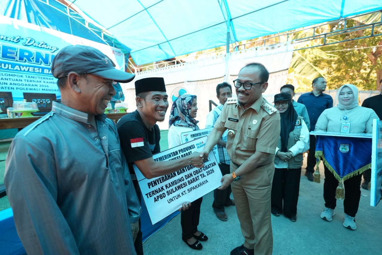 Suhardi Duka Serahkan Bantuan Ternak ke Majene, Pastikan Tambahan Anggaran Rp200 Miliar untuk Gaji PPPK dan TPP