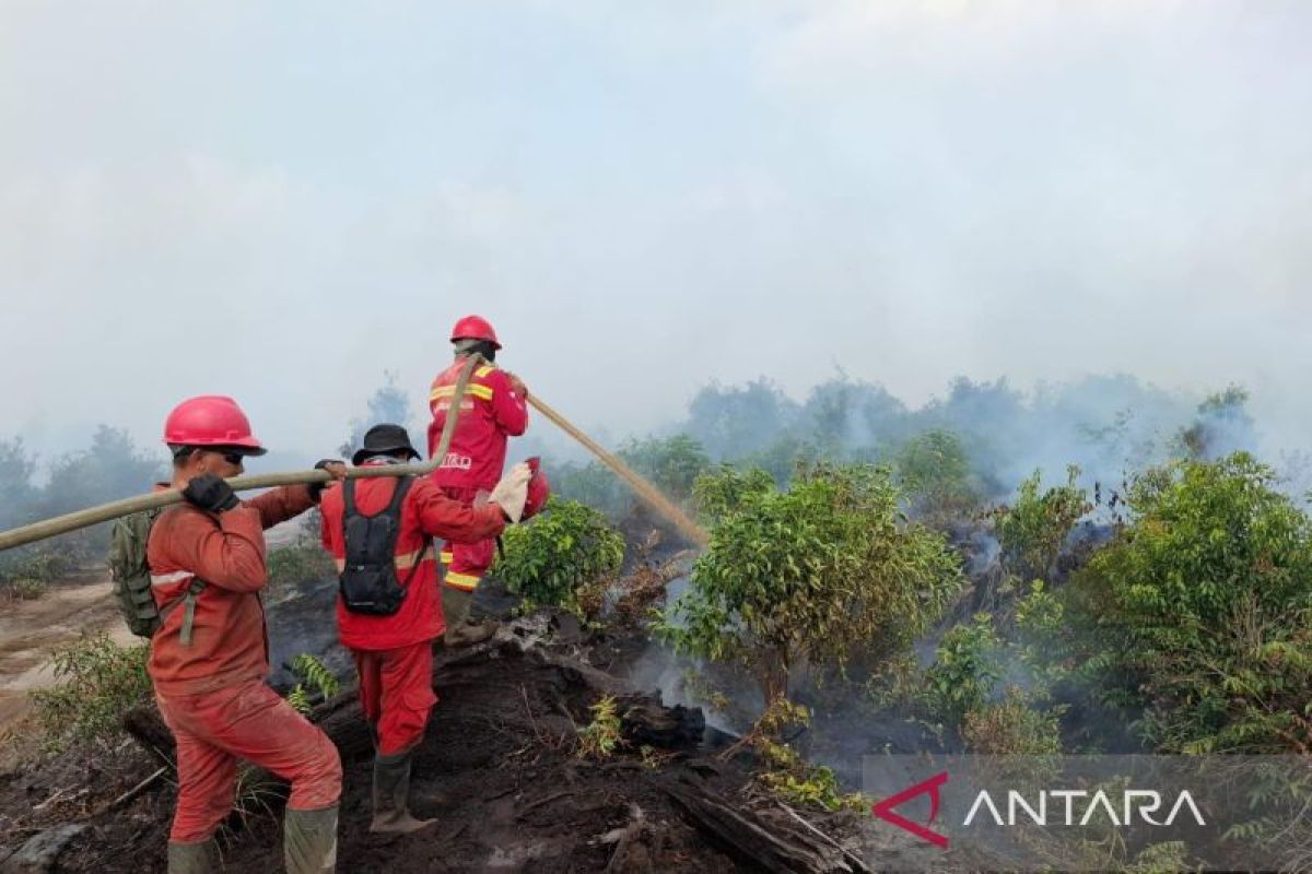 Manggala Agni Sumatera XVI Lahat Kerahkan Regu Tambahan Padamkan Karhutla di Dua Desa Muara Enim