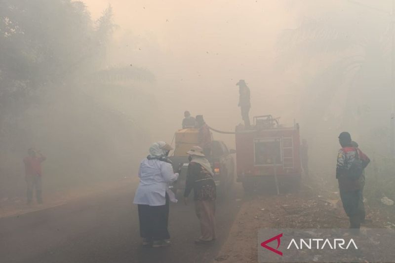 Karhutla di Ujung Landasan Bandara Sampit Meluas ke Lahan Gambut, Wabup Kotim Terjun Langsung ke Lokasi